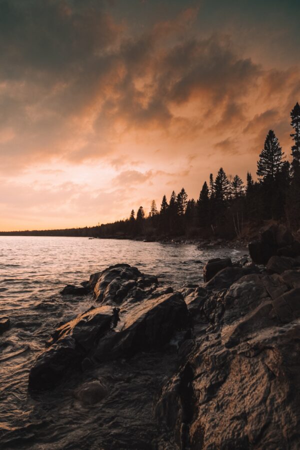 photo 1534537841395 2e594ba9ed4a