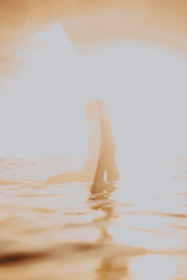 photo 1621036092093 153a8a8e42f7