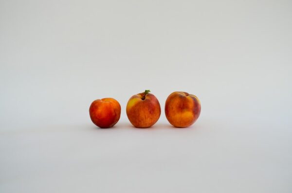 女性飲食目標-重要營養素不可或缺 6 photo 1658940963841 c45b83352db2