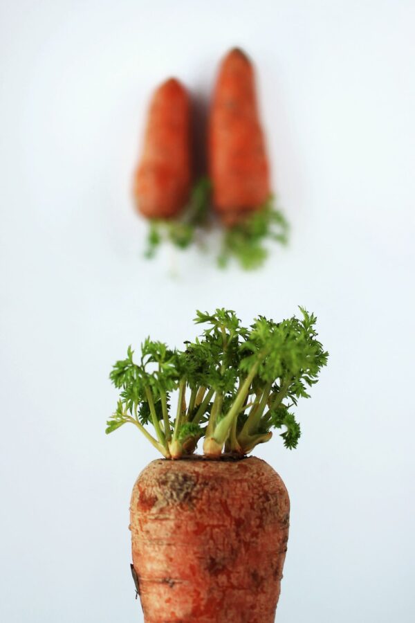 photo 1587734640419 60c26f5a245a