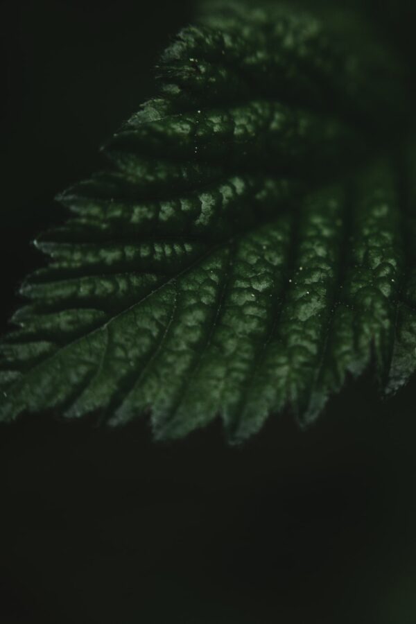 優化您的美容業務:探索2021年趨勢展望 4 photo 1590885436411 1786d85e5bd4