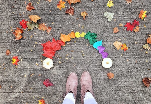 美容營養補充的關鍵成分及其功效探討 8 photo 1554726425 ac299472ae80