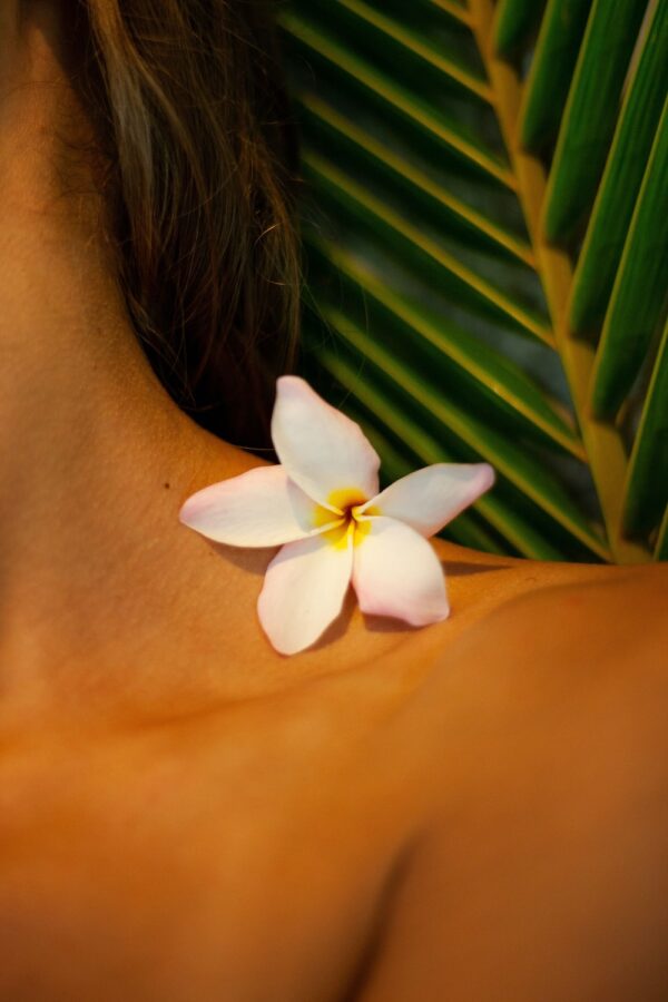 photo 1582943303563 906b6f8b60fa