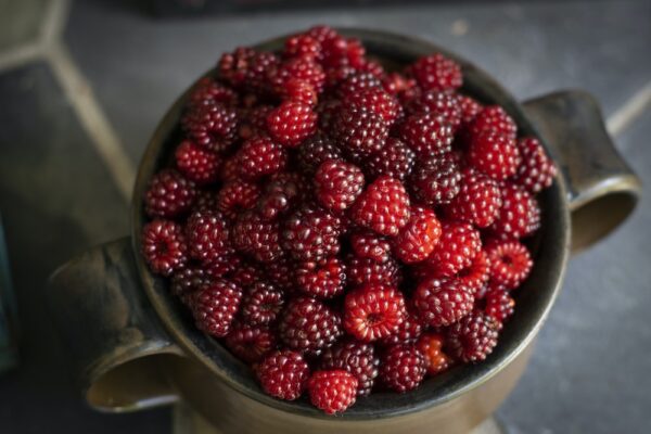 photo 1594497523022 e4d56a881497