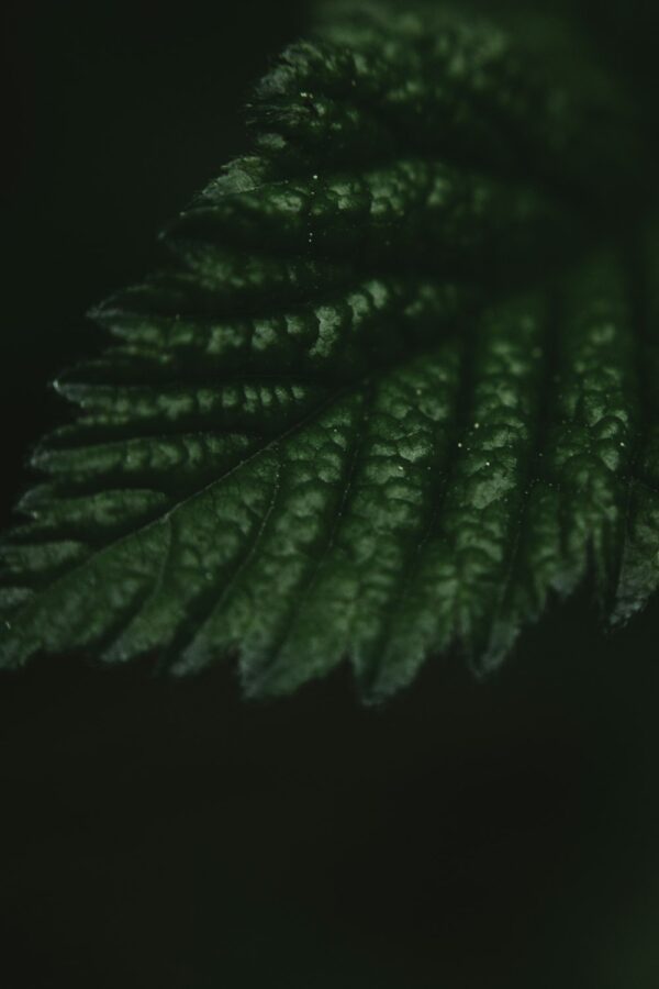 全天候的護膚美學:維持健康膚色的秘訣 2 photo 1590885436411 1786d85e5bd4