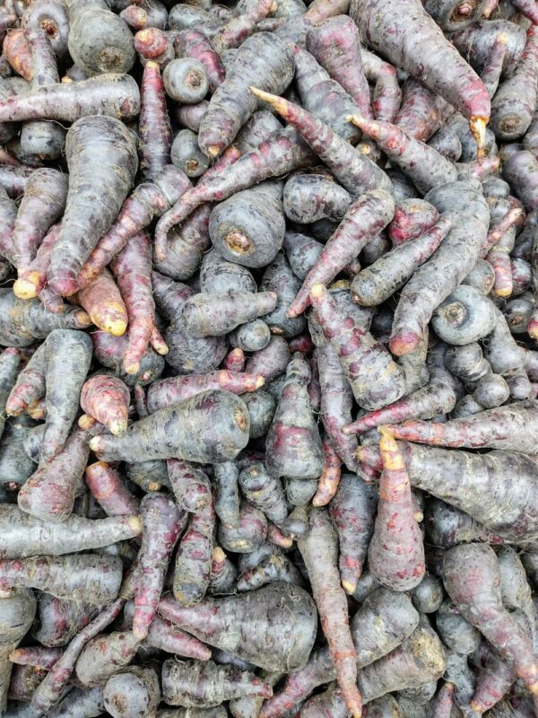 photo 1613399663249 883f6ad430d6