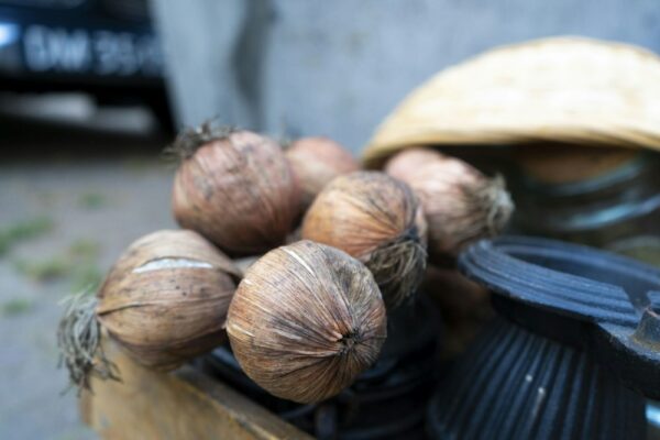 photo 1657447898882 6de0b1c949b1