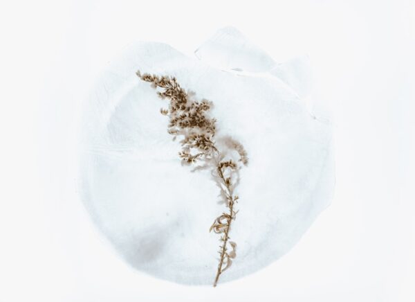 photo 1547741670 dee04fe36b8a